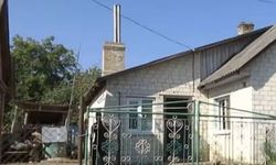 Kocasını öldürdü: Cinsel organını köpeğine yedirdi