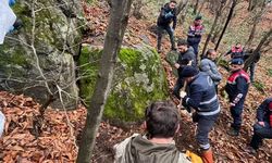 Korkunç cinayet kardeşleri birbirine düşürdü: Öldürüp cesedini ormana gömmüşler