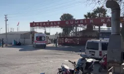 Şanlıurfa'da hayvan otlatan yaşlı kadın mayına bastı!