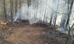 Aydın'da büyük orman yangını!