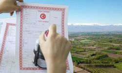 Türkiye’de arazi rallisi: En çok artış o illerde görüldü