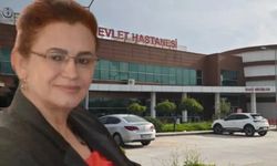 Suriye'den açılan ateş Mardin'de Prof. Dr. Pirinççioğlu'na isabet etti