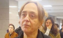 Ayşe Barım'a Gezi eylemleri nedeniyle verilen hapis cezasının gerekçesi açıklandı