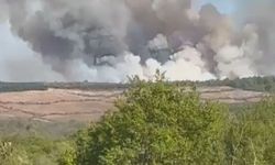 Beykoz'daki ormanlık alan alev alev yanıyor!