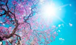 Libya üzerinden çöl sıcaklıkları geliyor!