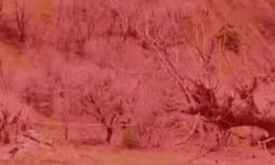 Diyarbakır’da başsız ceset bulundu