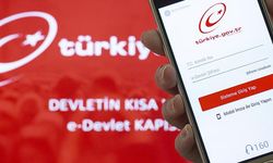 E-devlette şok: Yüzlerce taşınmaz hazineye ve başkalarına geçmiş!