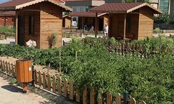 AKP MKYK’da hobi bahçesi tartışması