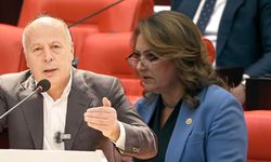 Müzeyyen Şevkin'den Ali Demirçalı'nın görevden uzaklaştırılmasına Meclis'te tepki! Milletin egemenliği hiçe sayılıyor