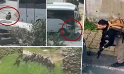 İsrail Konsolosluğu saldırısında teröristler daha önce keşif yapmış! Eşinin ifadesi ortaya çıktı