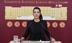 EMEP'li Karaca'dan Kaman Fen Lisesi iddiaları için iki bakana soru önergesi!
