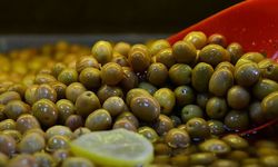 Türkiye’nin köklü zeytin firması iflasın eşiğinde