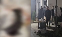İstanbul'da kan donduran iddia: Sitede 4 yavru kedi parçalanarak öldürüldü!
