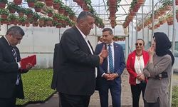 CHP'li Ömer Fethi Gürer çiçek üreticisinin sorunlarını dinledi