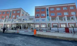 33 kişinin tutuklandığı cinsel istismar soruşturmasında anne de tutuklandı