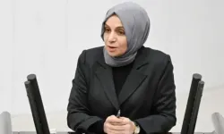 Doğum oranı düşüşünü ekonomiye bağlamak sığ bir bakış açısıymış!