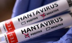 Avrupa'da bir hantavirüs şüphesi daha!