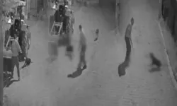 Köpeği demir çubukla öldürmüştü: Tutuklandı!