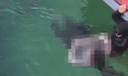 Eski astsubay ölü bulundu