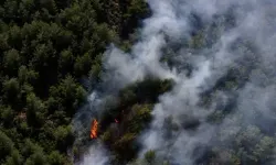 Fethiye'de orman yangını