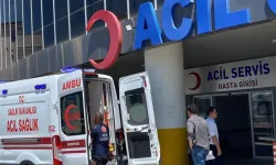İstanbul'un 'kurban' bilançosu