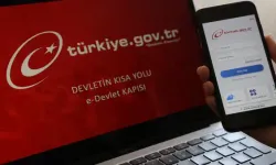 Ara seçim 'teknik arıza' çıktı