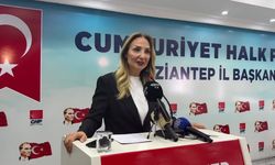 CHP'li Aylin Nazlıaka: Deprem bölgesinde verilen sözler tutulmadı