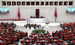 CHP'li Genç: Her gün yaklaşık 284 ruhsatsız silah ele geçiriliyor