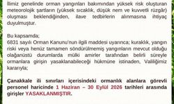 Valilik yaz boyunca ormanlık alanlara girişleri yasakladı