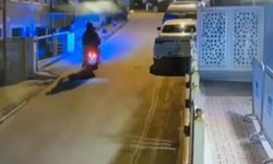 Daltonlar çetesi, Irak'a savaş ilan etti