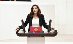CHP’li Rızvanoğlu’ndan Meclis Başkanı’na iğrenç iftiralarla ilgili çağrı!