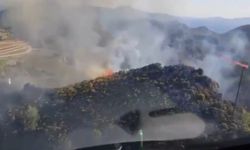 Güneş yüzünü göstermeden kâbus gibi orman yangınları başladı!