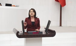 CHP'li Kış, asgari ücretlinin geçim derdini anlattı