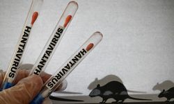 Hantavirüse ilişkin çarpıcı detay!