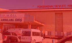 Hakkari'de gizemli patlama! Çoban yaralandı