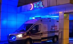 Sapanca'da tatil için geldiği bungalovda fenalaşarak hayatını kaybetti