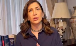AKP'ye yakın gazeteler de onun sözlerini haberleştirmişti: Tamar Tanrıyar'a soruşturma