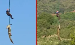 Selde kaybolan iş insanı timsahın midesinden çıktı
