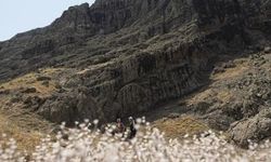 Tunceli'de Düzgün Baba Ziyaretgahı'na saldırıda 3 tutuklama!