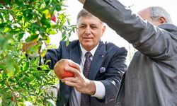 İzmir tarımında yeni dönem