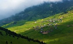Karadeniz'in cennet köşesinin yüzde 74’üne maden ruhsatı!