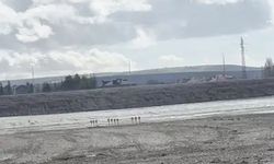 Esenboğa’da tartışma yaratan iddia: Belgeler paylaşıldı