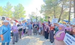 Mahkemenin durdurduğu projeye bir kez daha onay: Köylüler ayak