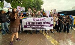 Halkevleri Genel Başkanı Sevinç Hocaoğulları gözaltına alındı