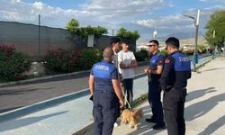 Van'da 'kuduz' alarmı: 7 mahalle karantinaya alındı
