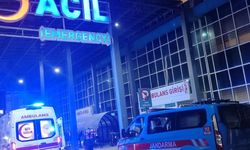Muğla'da kadın cinayeti: Seyir halindeki otomobilden yola atıldı!