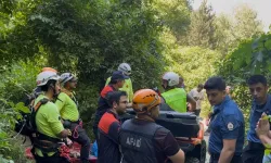 Uludağ'da ıhlamur toplamaya giden yaşlı adamdan acı haber