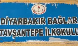 Narin Güran davasının ardından Tavşantepe sandık başında: Yeni muhtar seçiliyor