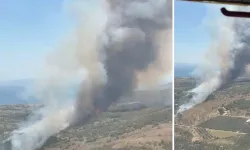 İzmir'de tarım arazisinde çıkan yangın makiliğe sıçradı