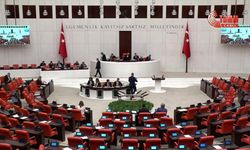 'Atatürk Orman Çiftliği, talan edilerek Cumhuriyet ile hesaplaşma mekanına dönüştü'